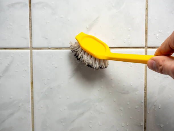 Best Professional Mold Removal  in Longtown, OK