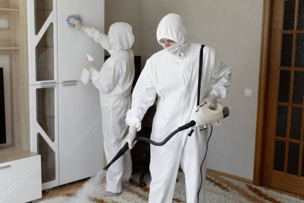 Best Residential Mold Removal  in Longtown, OK