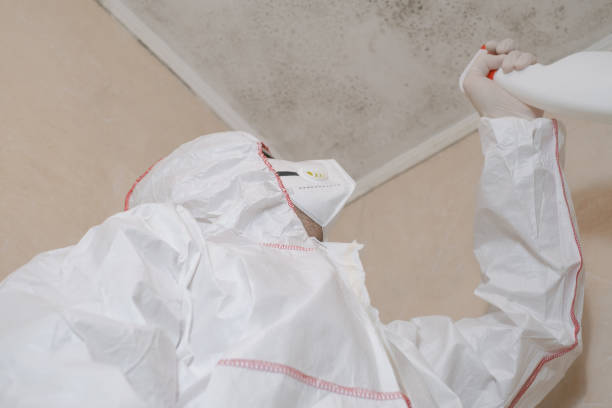 Best Mold Cleaning Services  in Longtown, OK