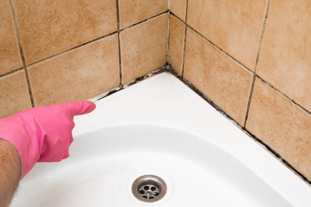 Best Home Mold Removal  in Longtown, OK